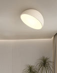 Solvra | Modern Semicircular Ceiling Lamp 1