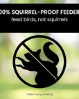 Squirrel Proof Bird Feeder 1
