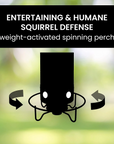 Squirrel Proof Bird Feeder 3