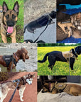 Tactical Dog Harness with Handle, Adjustable Fit and Reflective Details for Training and Safety 5