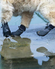 TerraPaws | Durable Waterproof Breathable Dog Boots for All Terrains 0