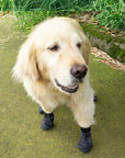 TerraPaws | Durable Waterproof Breathable Dog Boots for All Terrains 3