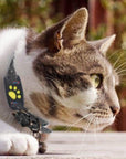Trackcat - Real-Time GPS Cat Tracker Collar with Reliable Satellite Tracking 0