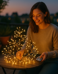 TwinkleCopper | Remote-Controlled Copper Wire Fairy Lights for Indoor Décor 2