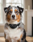VibeControl Bark Collar | Rechargeable Anti-Bark Collar with Adjustable Vibration Levels – Waterproof Training Device 1