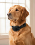 VibeControl Bark Collar | Rechargeable Anti-Bark Collar with Adjustable Vibration Levels – Waterproof Training Device 2