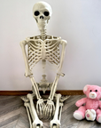 170 cm Life-Size Halloween Skeleton – Posable Outdoor Decoration for a Spooky Yard