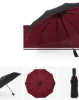 AeroShield | Best Compact Windproof Travel Umbrella for All Weather 10
