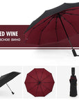 AeroShield | Best Compact Windproof Travel Umbrella for All Weather 5