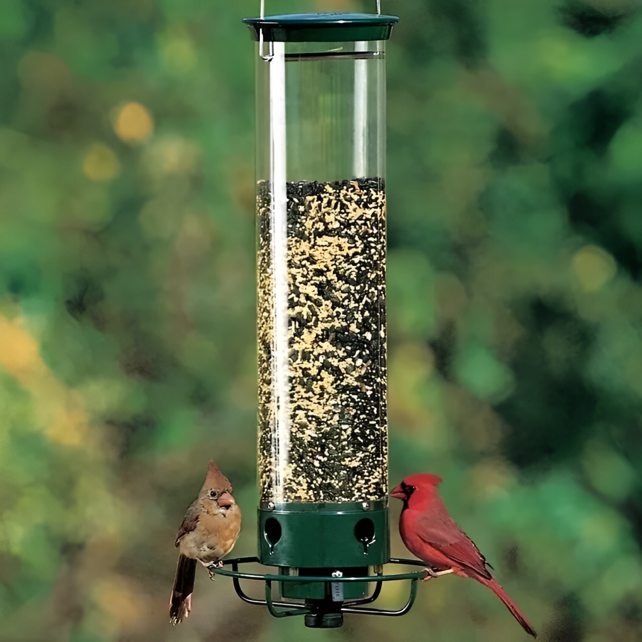 AviaryGuard | Durable Squirrel-Proof Hanging Bird Feeder 0