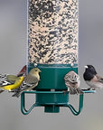 AviaryGuard | Durable Squirrel-Proof Hanging Bird Feeder 1
