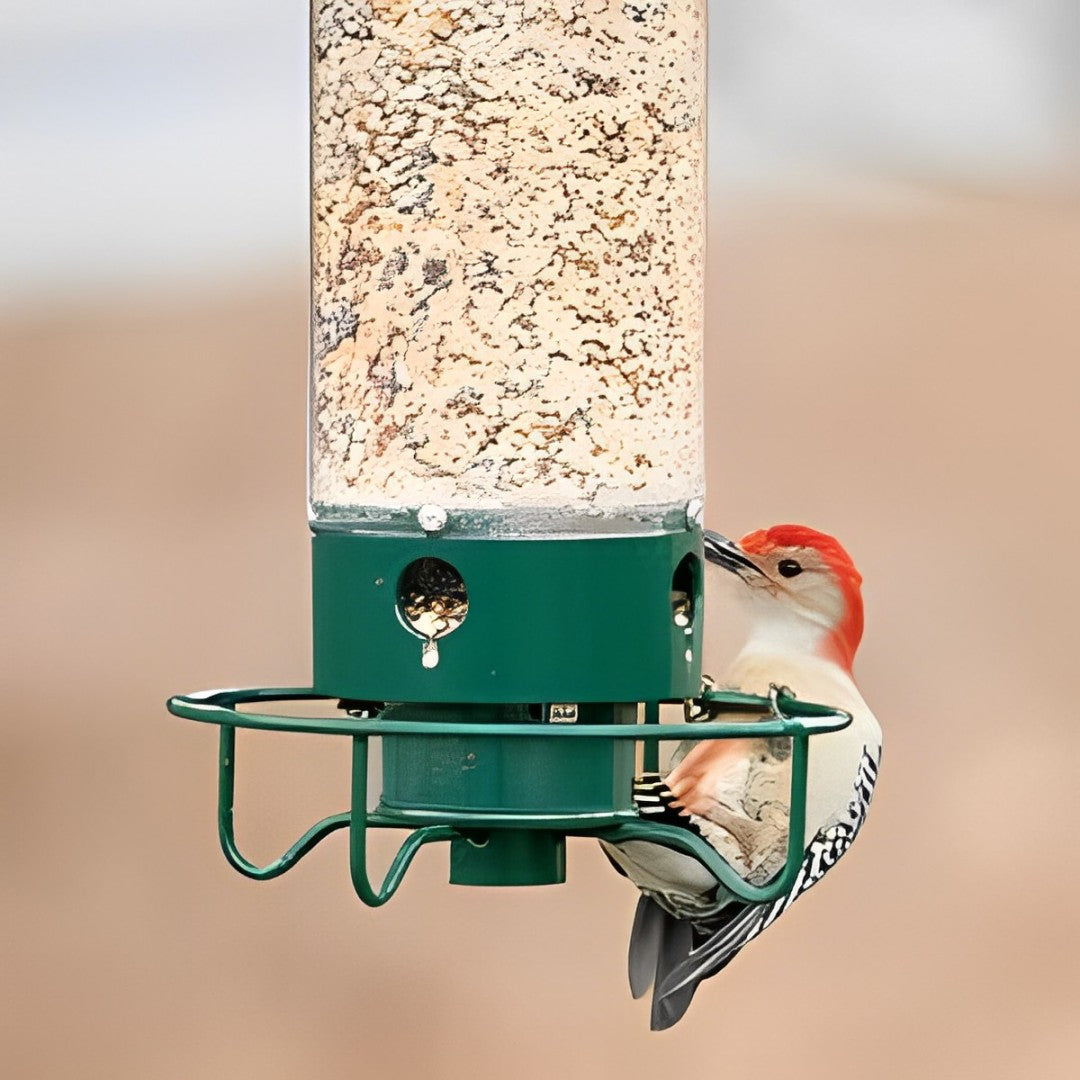 AviaryGuard | Durable Squirrel-Proof Hanging Bird Feeder 2
