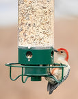 AviaryGuard | Durable Squirrel-Proof Hanging Bird Feeder 2