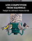 AviaryGuard | Durable Squirrel-Proof Hanging Bird Feeder 6