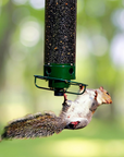 AviaryGuard | Innovative Squirrel-Proof Metal Birdhouse Design 0