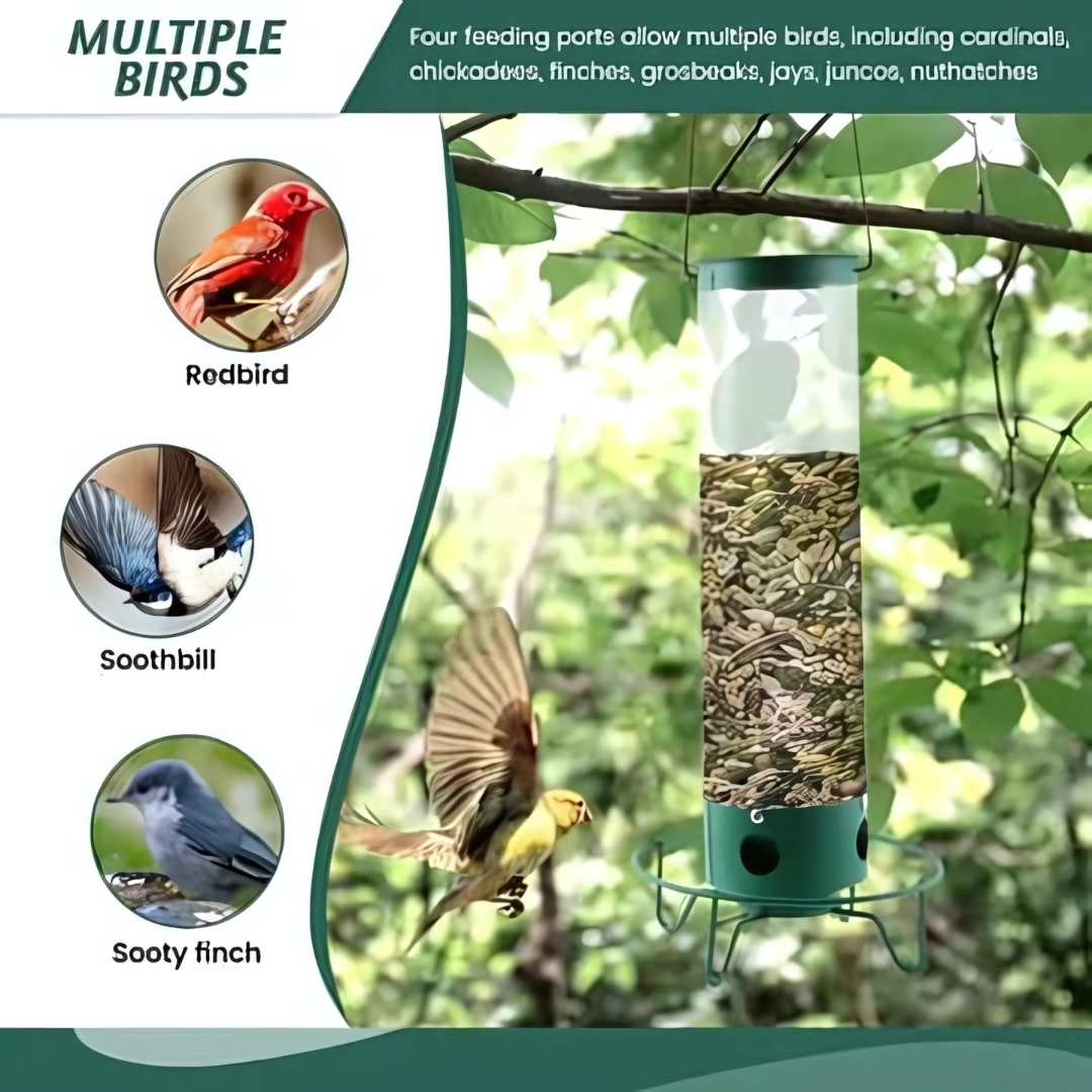 AviaryGuard | Innovative Squirrel-Proof Metal Birdhouse Design 3