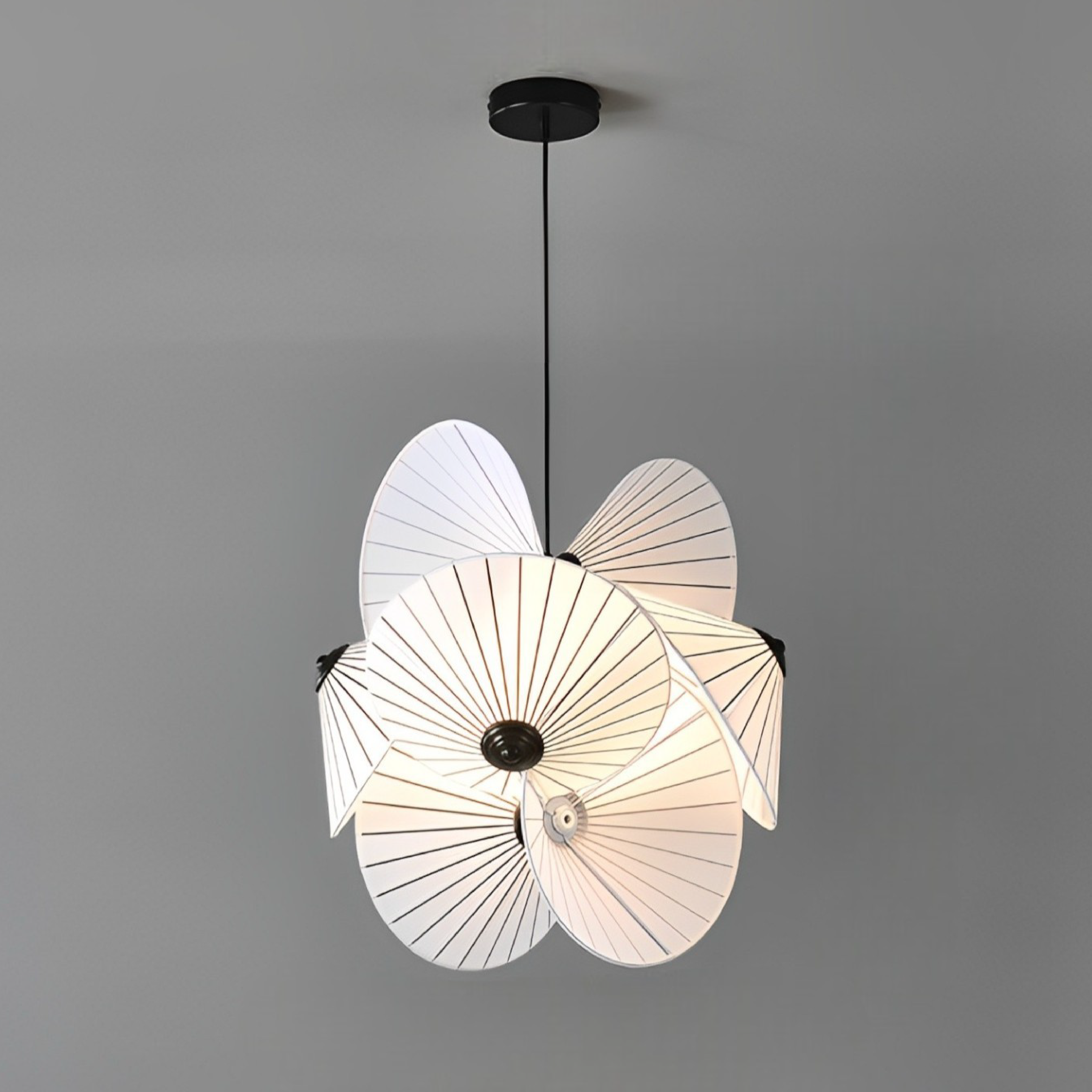 Bromeliad | Luminosity Hanging Lamp 5