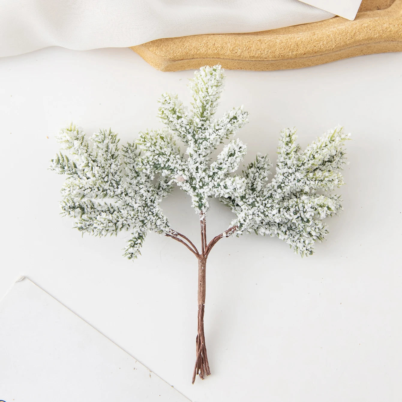 Cactus Charm | Luxury Green Leaves Decoration 7