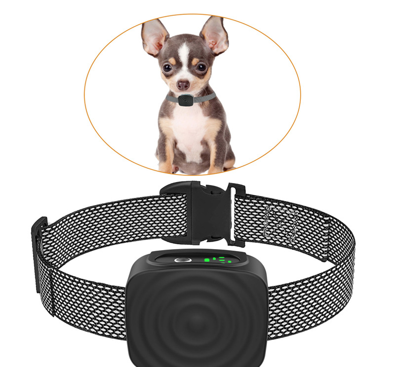 CalmiPup | Anti-Bark Dog Collar for Small Breeds and Gentle Training 2