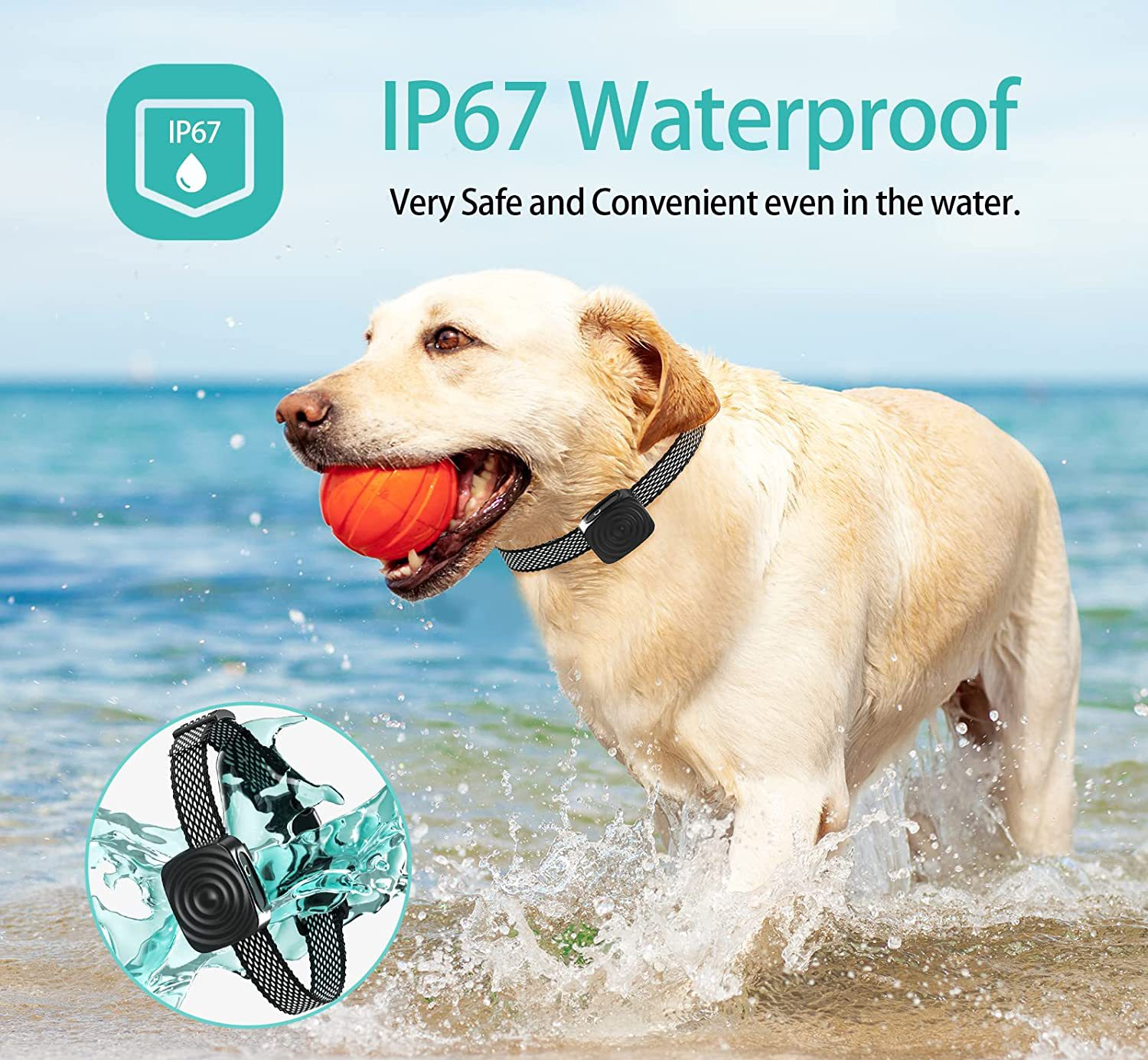 CalmiPup | Anti-Bark Dog Collar for Small Breeds and Gentle Training 3