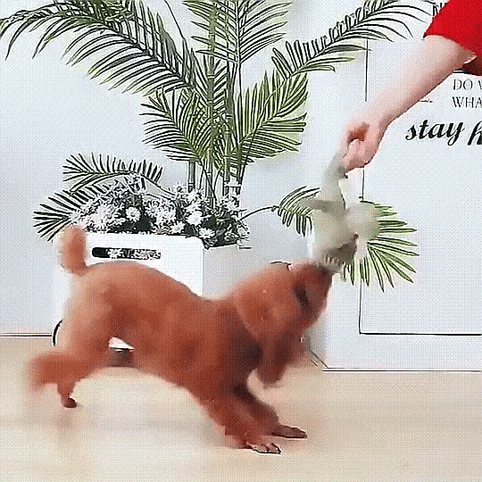 ChewBuddy | Durable Plush Dog Toy with Built-In Squeaker for Fun Play 4