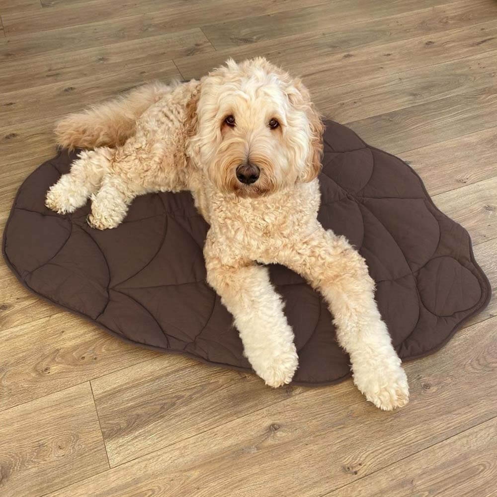 ComfyPup | Large Pet Blanket Mat for Sleeping, Travel &amp; Everyday Use 10