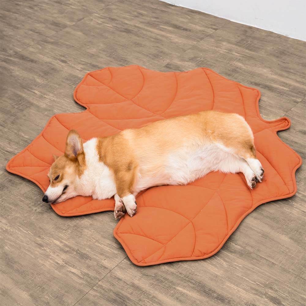ComfyPup | Large Pet Blanket Mat for Sleeping, Travel &amp; Everyday Use 11