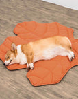 ComfyPup | Large Pet Blanket Mat for Sleeping, Travel & Everyday Use 11