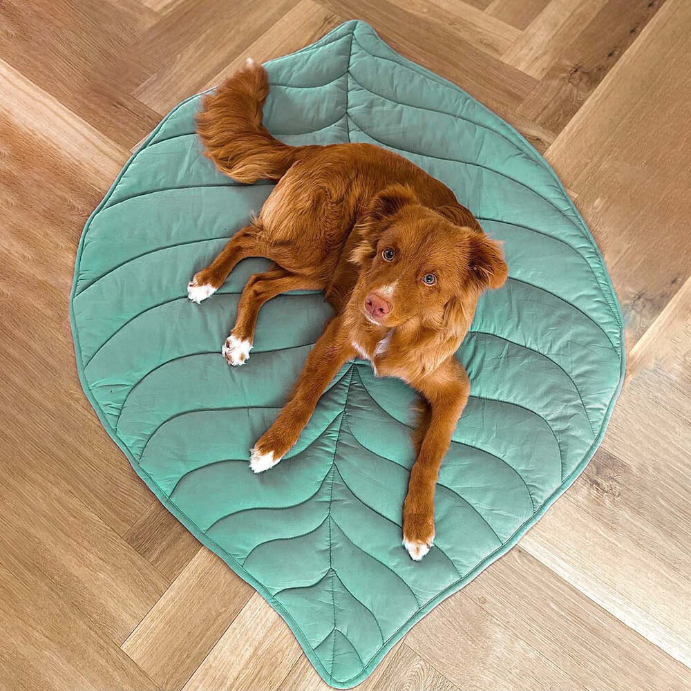 ComfyPup | Large Pet Blanket Mat for Sleeping, Travel &amp; Everyday Use 12
