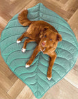 ComfyPup | Large Pet Blanket Mat for Sleeping, Travel & Everyday Use 12