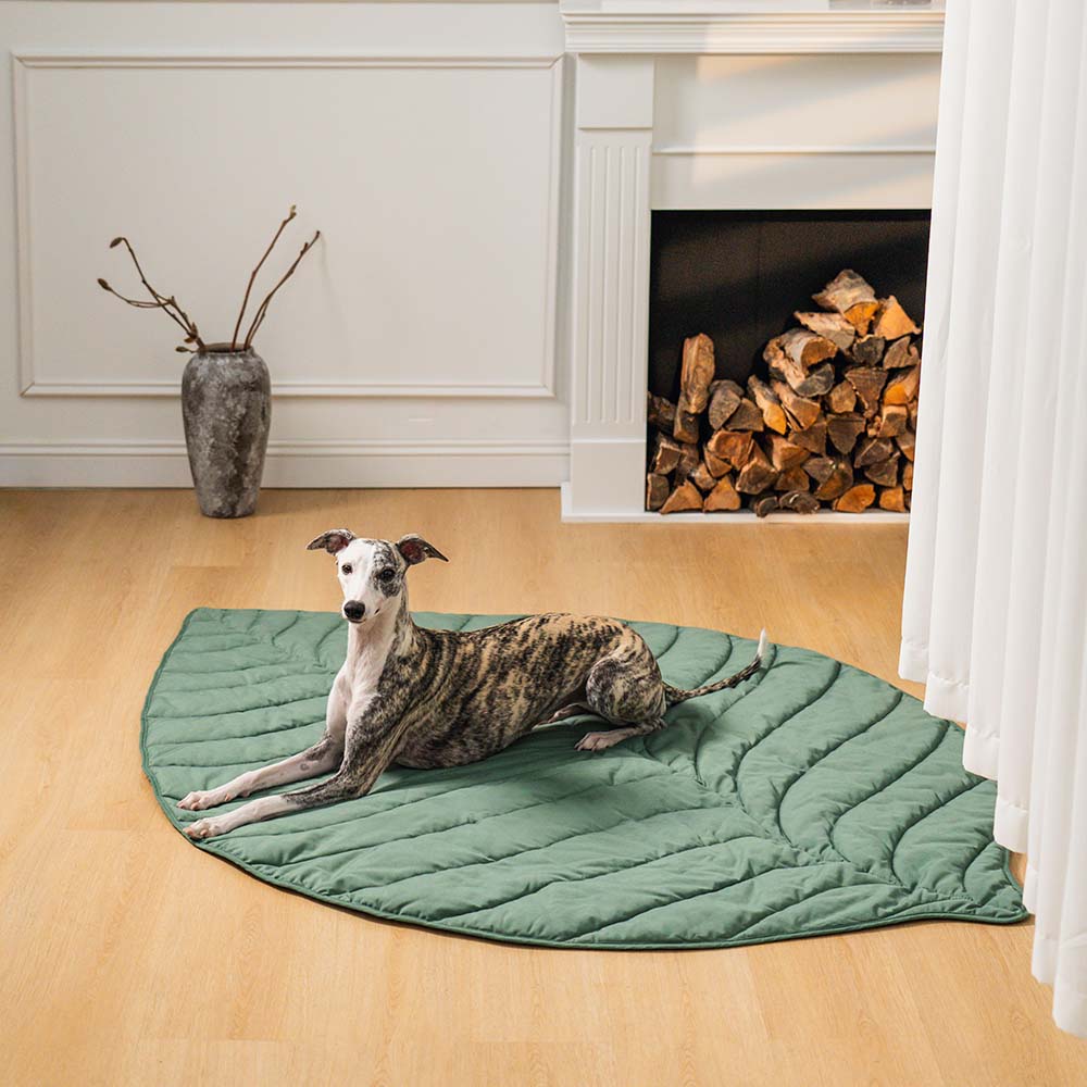 ComfyPup | Large Pet Blanket Mat for Sleeping, Travel &amp; Everyday Use 13