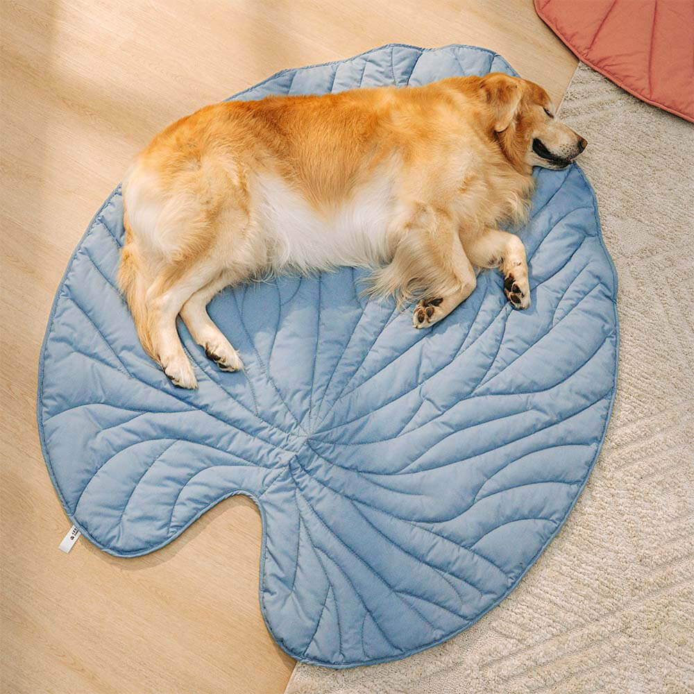 ComfyPup | Large Pet Blanket Mat for Sleeping, Travel &amp; Everyday Use 14
