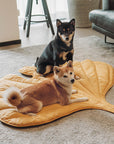 ComfyPup | Large Pet Blanket Mat for Sleeping, Travel & Everyday Use 4