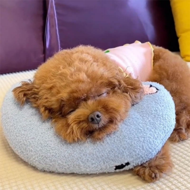 CozyNest | Soft Fleece Dog Bed with Anti-Anxiety Cushion Design 0