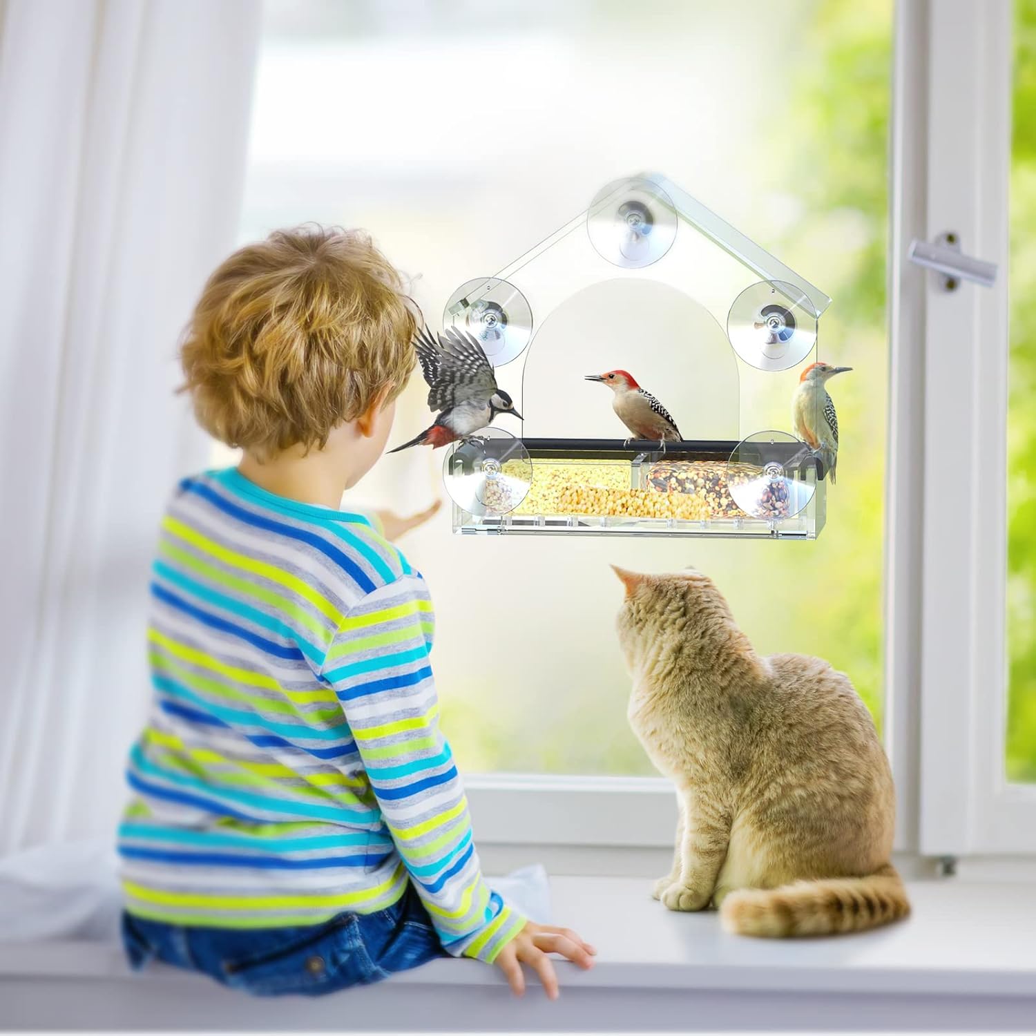 CrystalVista | Stylish Durable Acrylic Window Bird Feeder for Wildlife Observation 2