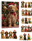 Dachshund Delight | Charming Colorful Advent Calendar for Dog Lovers 5