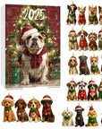 Dachshund Delight | Charming Colorful Advent Calendar for Dog Lovers 7