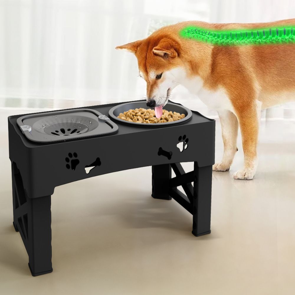 DinePaw | Elevated Dog Bowl with Adjustable Stand & Slow Feeding Design 2