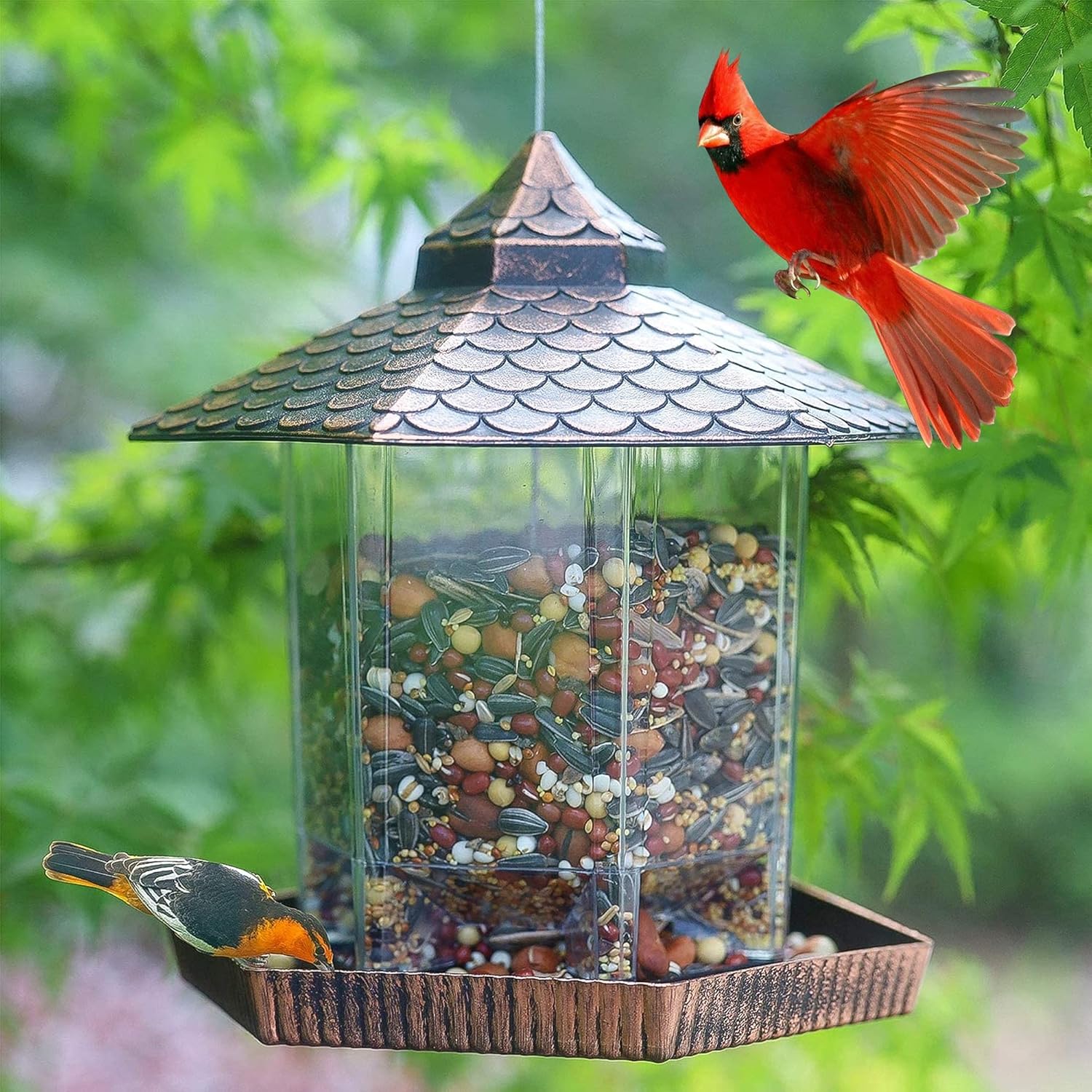 EcoHaven | Stylish Durable Hanging Bird Feeder with Copper Roof 3