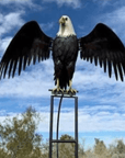 Elegant Metal Garden Windmill Sculpture – Movable Wings, Sturdy Weather-Resistant Garden Art for Outdoor Decoration 4