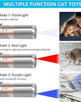 FelineBeam | Interactive Rechargeable Stainless Steel Cat Laser Toy 4