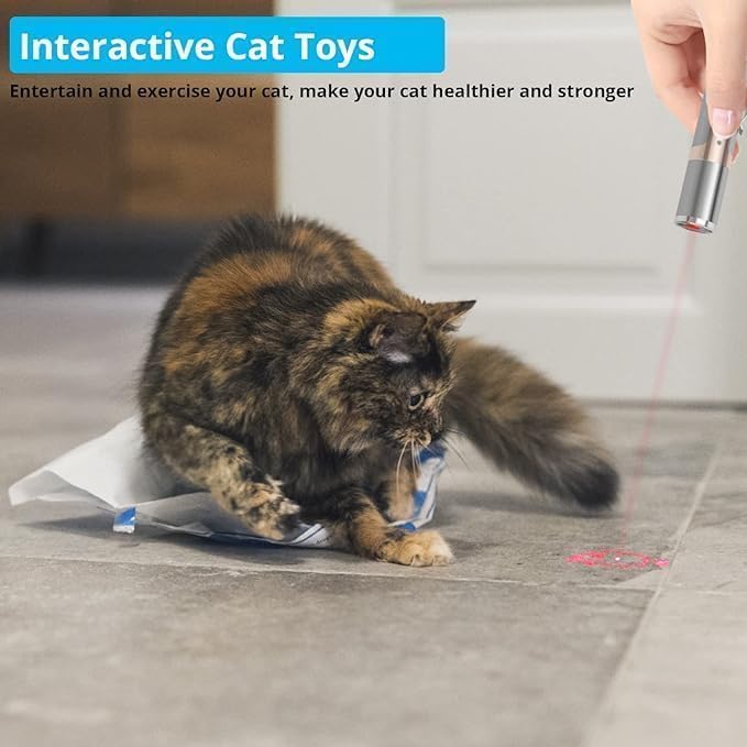 FelineBeam | Interactive Rechargeable Stainless Steel Cat Laser Toy 7