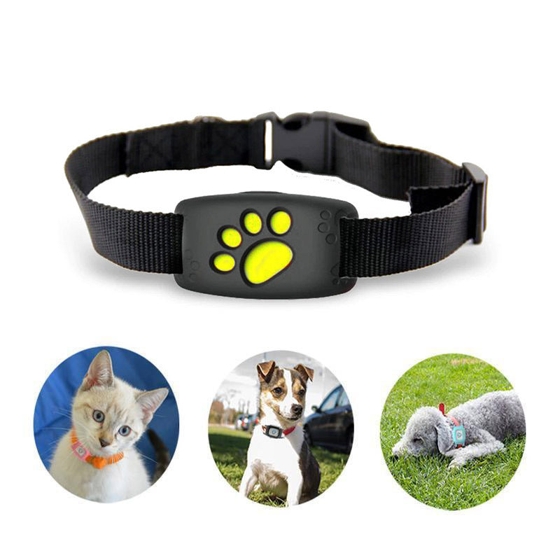FelineGuard | Waterproof Smart GPS Cat Tracker Collar for Enhanced Safety 4