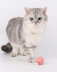 FelineMotion | Engaging Interactive Self-Rolling Cat Toy 2