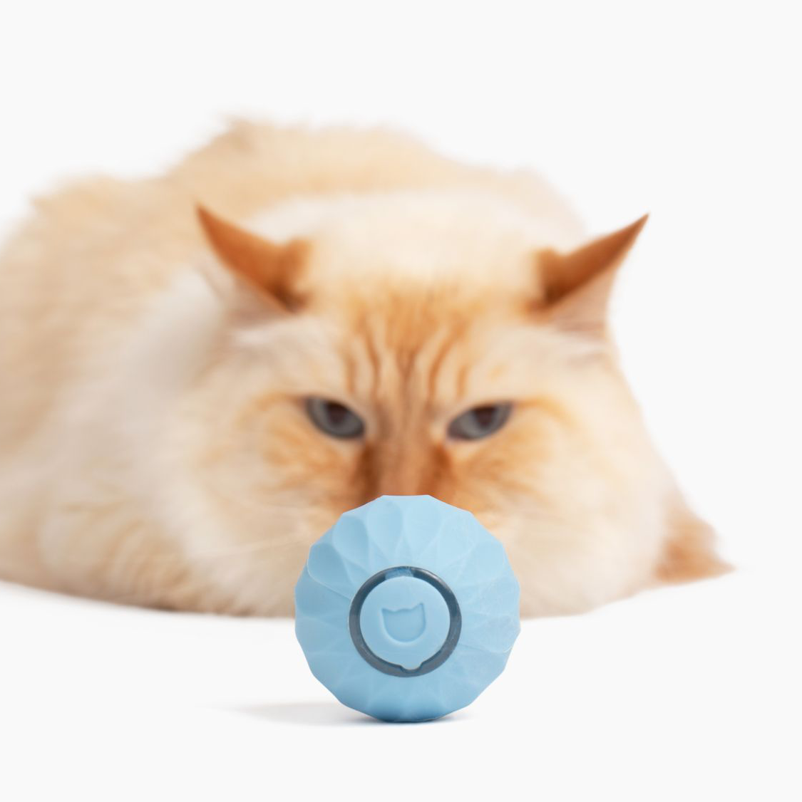 FelineMotion | Engaging Interactive Self-Rolling Cat Toy 3