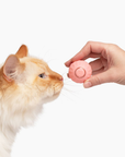 FelineMotion | Engaging Interactive Self-Rolling Cat Toy 6