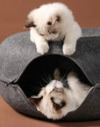 FelisCave | Cozy Durable Felt Cat Tunnel Bed for Multiple Cats 4