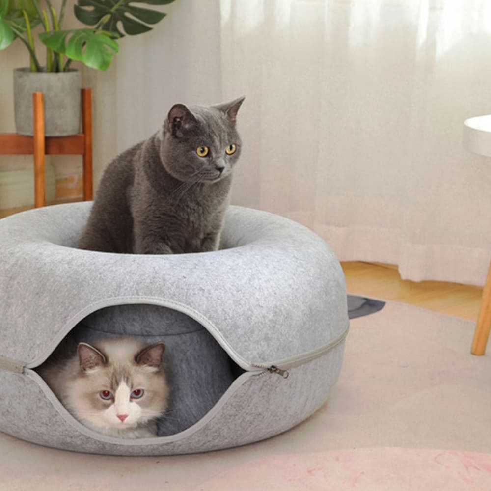 FelisCave | Cozy Durable Felt Cat Tunnel Bed for Multiple Cats 7