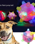 FetchBright | Light-Up Rubber Ball for Active Nighttime Dog Play 3