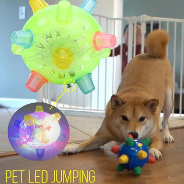 FetchBright | Light-Up Rubber Ball for Active Nighttime Dog Play 6